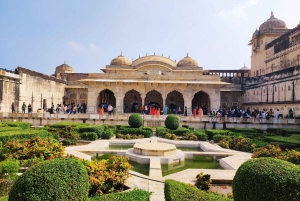 Från Delhi: Privat Jaipur & Amber Fort guidad tur med bil