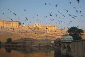 Vanuit Delhi: privérondleiding met auto door Jaipur & Amber Fort