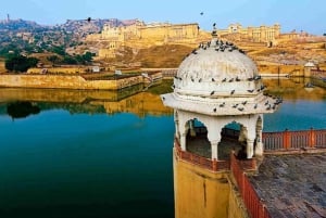 Da Delhi: Tour privato guidato di Jaipur e del Forte di Amber in auto