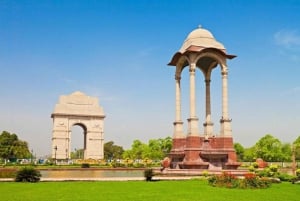 Da Delhi: Tour privato guidato di Jaipur e del Forte di Amber in auto