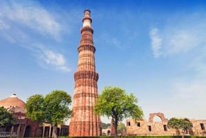 Da Delhi: Tour privato guidato di Jaipur e del Forte di Amber in auto