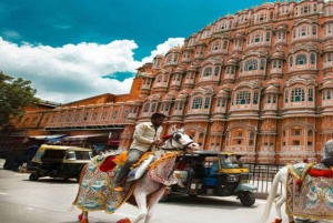 Fra Delhi: Privat Jaipur City Guided Tour med transfer