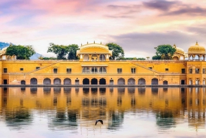 Fra Delhi: Privat Jaipur City Guided Tour med transfer