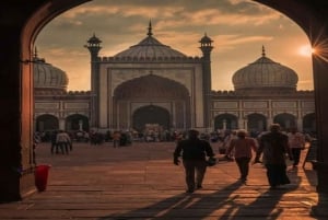 Delhi: tour privato guidato della città vecchia e nuova di Delhi