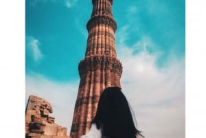 Delhi: tour privato guidato della città vecchia e nuova di Delhi