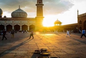 Delhi: tour privato guidato della città vecchia e nuova di Delhi