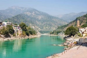 Fra Delhi: Privat dagstur til Rishikesh og Haridwar med bil