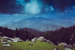 Fra Delhi: Privat dagstur til Rishikesh og Haridwar med bil