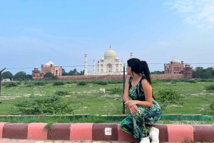 Au départ de Delhi : excursion privée d'une journée en voiture au Taj Mahal et à Agra