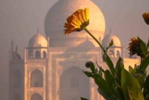 Au départ de Delhi : excursion d'une journée au Taj Mahal en train Gatimaan à grande vitesse