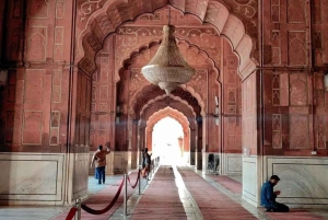 Desde Delhi: excursión privada de un día al Taj Mahal y Agra con traslado incluido.