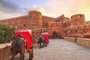 Da Delhi: gita di 1 giorno privata al Taj Mahal, al Forte di Agra e al Baby Taj