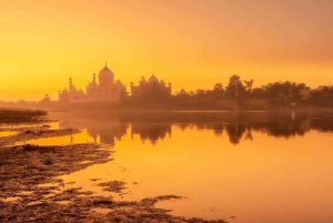 Delhistä: Yksityinen Taj Mahal & Agran linnoituksen auringonnousukierros