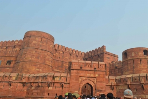 Desde Delhi: Excursión Privada al Taj Mahal y al Fuerte de Agra al Amanecer