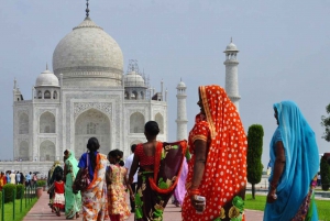 Da Delhi: Tour privato del Taj Mahal e del Forte di Agra all'alba