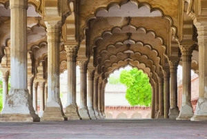 De Délhi: Tour particular pelo Taj Mahal e Forte de Agra ao nascer do sol