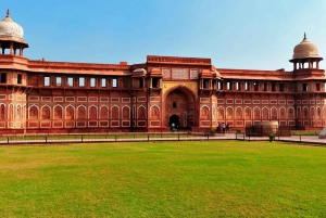 Z Delhi: Prywatna wycieczka Taj Mahal & Agra Fort Tour o wschodzie słońca