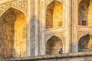 Da Delhi: Tour privato del Taj Mahal e del Forte di Agra all'alba