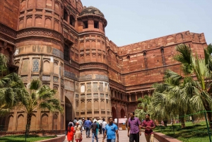 Depuis Delhi : visite privée du Taj Mahal et d'Agra en train express