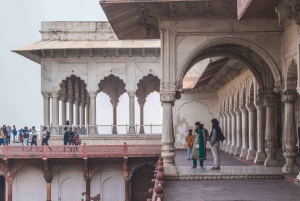 De Delhi: Tour particular pelo Taj Mahal e Agra em trem expresso