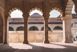 Da Delhi: Tour privato del Taj Mahal e di Agra in treno espresso