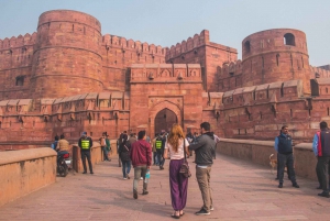 Fra Delhi: Privat Taj Mahal- og Agra-tur med eksprestog