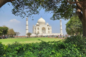 Von Delhi aus: Private Taj Mahal Tagestour mit Auto und Fahrer