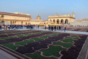 Da Delhi: Tour privato di un giorno del Taj Mahal con auto e autista