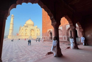 Da Delhi: Tour privato di un giorno del Taj Mahal con auto e autista