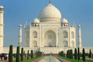 Från Delhi: Privat dagsutflykt till soluppgången över Taj Mahal och Agra Fort