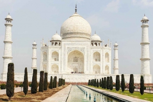 Au départ de Delhi : excursion privée au lever du soleil sur le Taj Mahal et au fort d'Agra