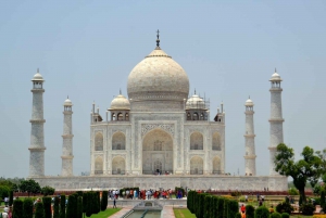 Au départ de Delhi : excursion privée au lever du soleil sur le Taj Mahal et au fort d'Agra