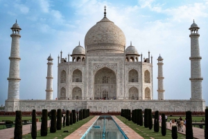 Au départ de Delhi : excursion privée au lever du soleil sur le Taj Mahal et au fort d'Agra