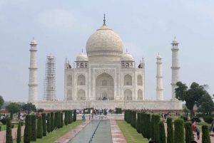 Von Delhi aus: Private Tagestour zum Sonnenaufgang am Taj Mahal und zum Agra Fort