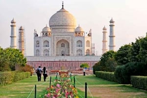 Von Delhi: Taj Mahal Sonnenaufgangstour mit Elefanten SOS Center