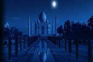 Von Delhi: Taj Mahal Sonnenaufgangstour mit Elefanten SOS Center