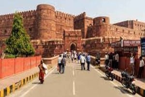 Von Delhi: Taj Mahal Sonnenaufgangstour mit Elefanten SOS Center