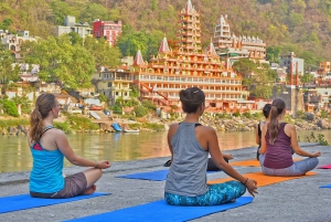 Von Delhi aus: Rishikesh und Haridwar Private Day Tour