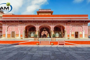 Da Delhi: Tour di Jaipur in giornata