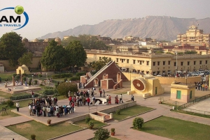 Da Delhi: Tour di Jaipur in giornata