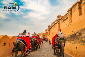 Da Delhi: Tour di Jaipur in giornata