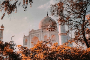 Fra Delhi: Taj Mahal og Agra-tur samme dag med båttur