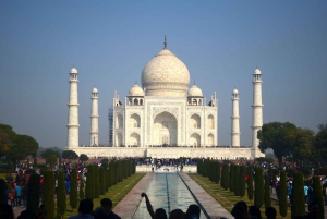 Depuis Delhi : visite du Taj Mahal et d'Agra le même jour avec promenade en bateau