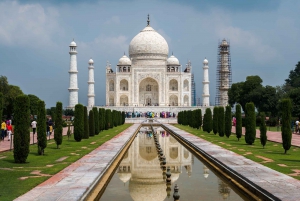 Desde Delhi: Excursión de un día al Taj Mahal y Agra con paseo en barco