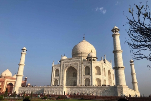 Depuis Delhi : Visite du Taj Mahal en voiture avec chauffeur le même jour