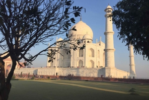 Desde Delhi: Excursión al Taj Mahal en el mismo día en coche con chófer