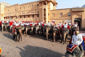 Von Delhi aus: Tagestour durch Jaipur im privaten AC-Wagen