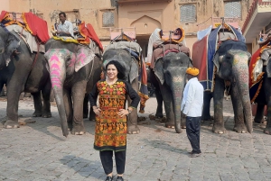 Von Delhi aus: Tagestour durch Jaipur im privaten AC-Wagen