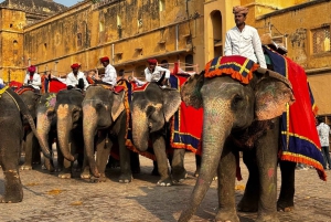 Von Delhi aus: Tagestour durch Jaipur im privaten AC-Wagen