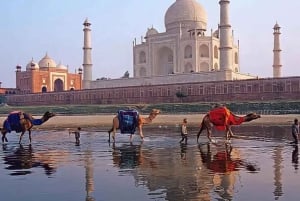 Delhi: Same Day Taj Mahal, Agra Fort & Baby Taj Tour By Car